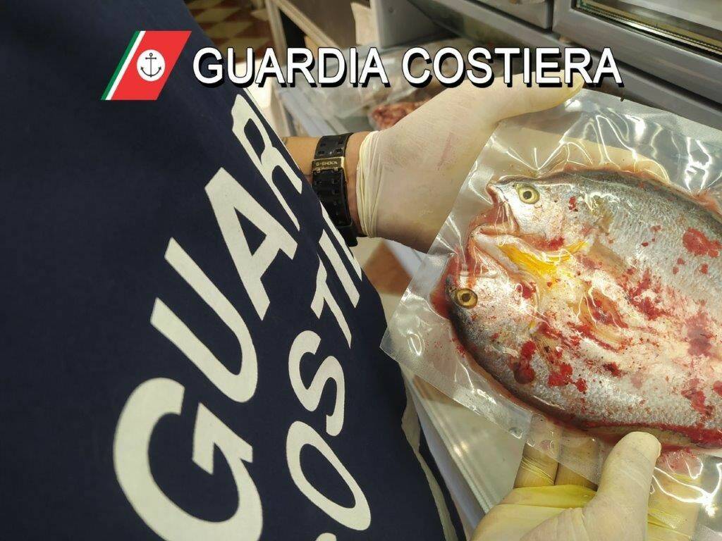 pesce sequestrato dalla guardia costiera